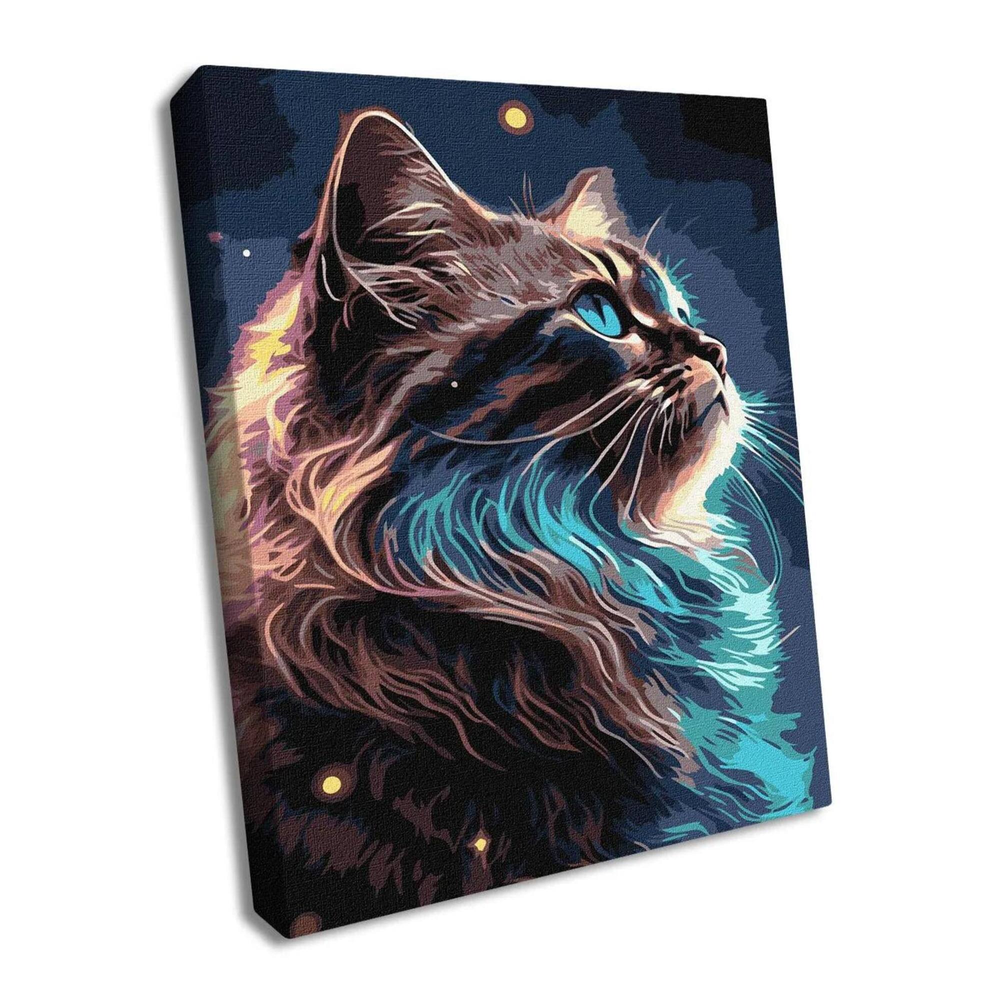 Ideyka The magic of Space Painting by Numbers Kit